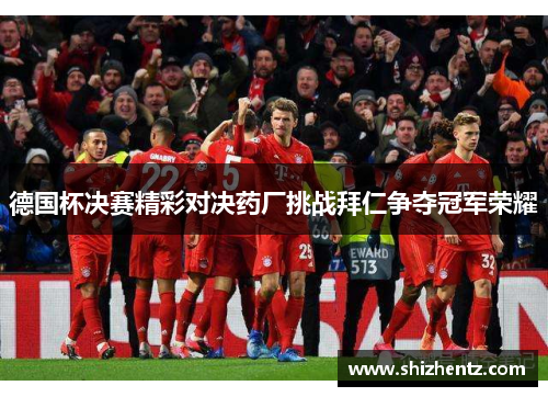 德国杯决赛精彩对决药厂挑战拜仁争夺冠军荣耀